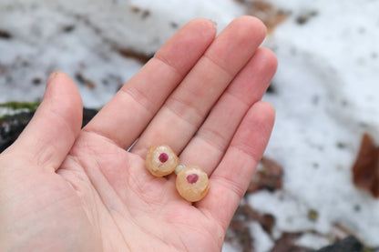 Crystal Red Fox Eyes