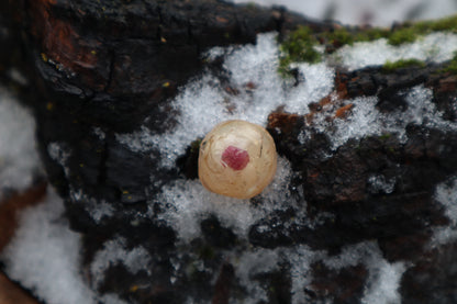 Crystal Coyote Eyeball