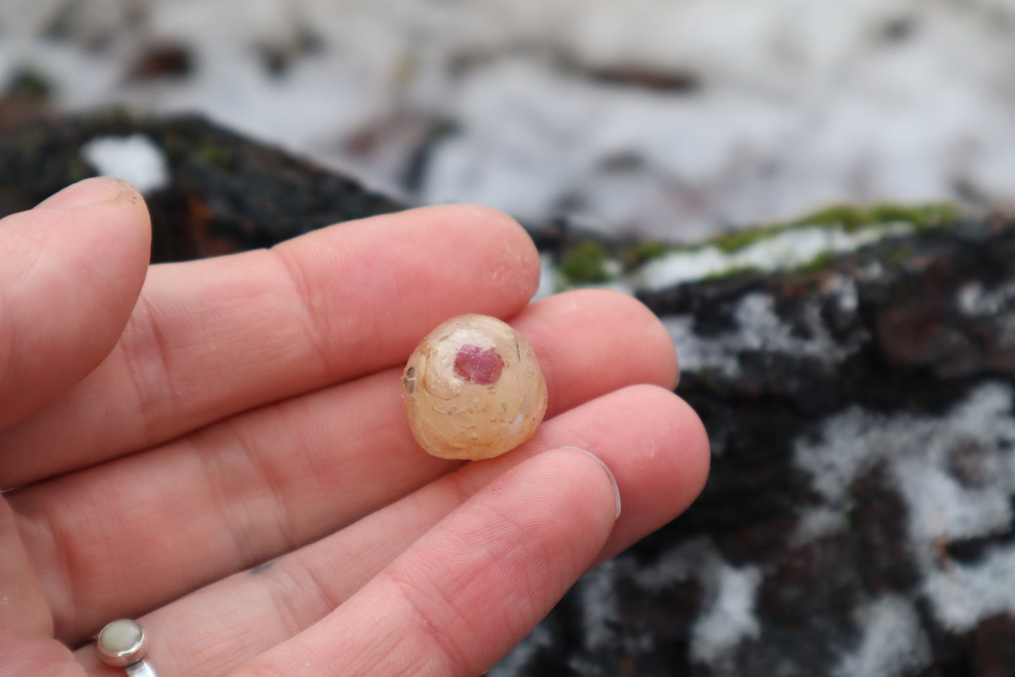 Crystal Coyote Eyeball