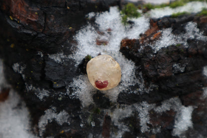 Crystal Red Fox Eyeball