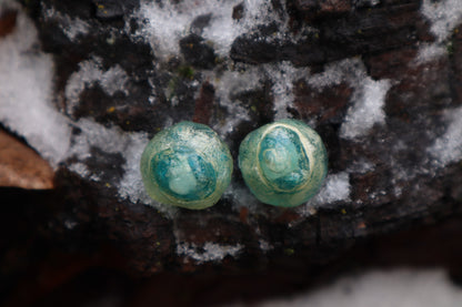 Crystal Coyote Eyes