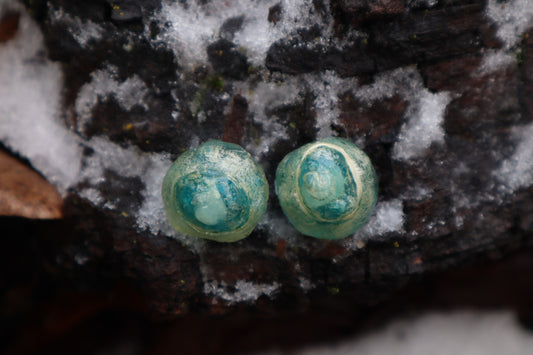 Crystal Coyote Eyes