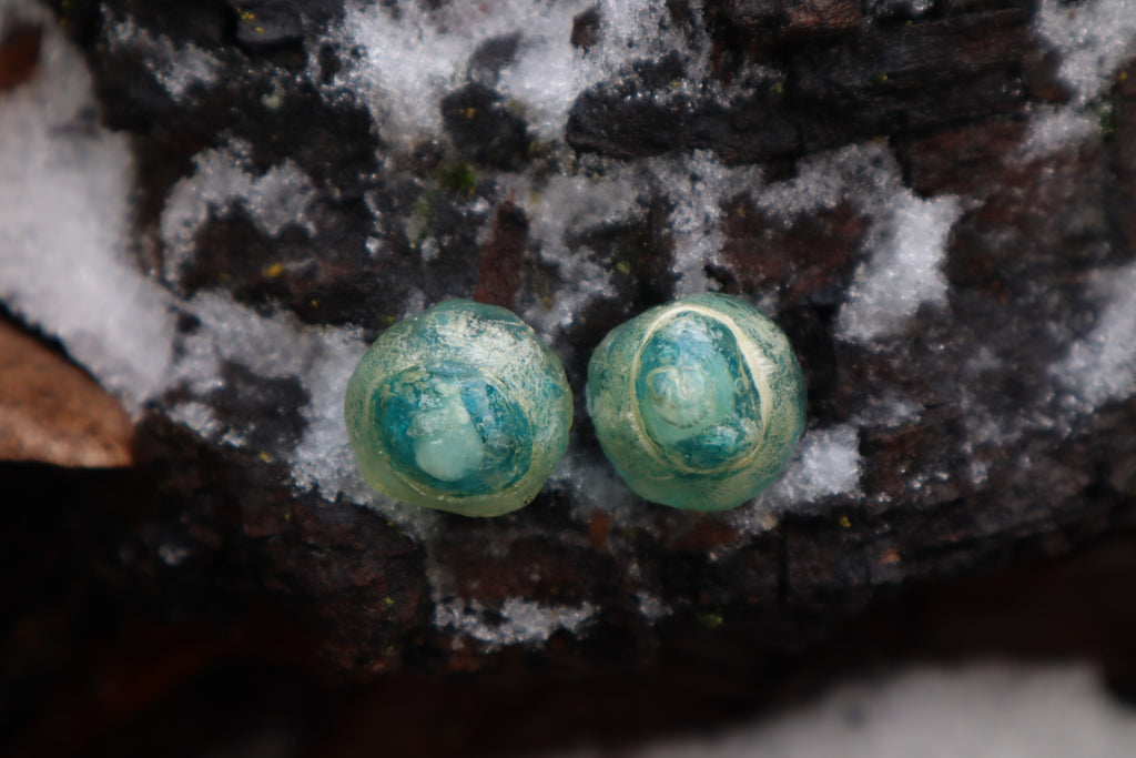 Crystal Coyote Eyes