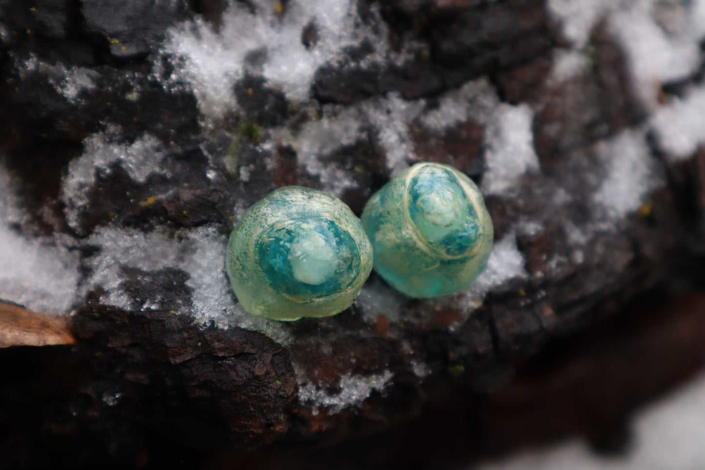 Crystal Coyote Eyes