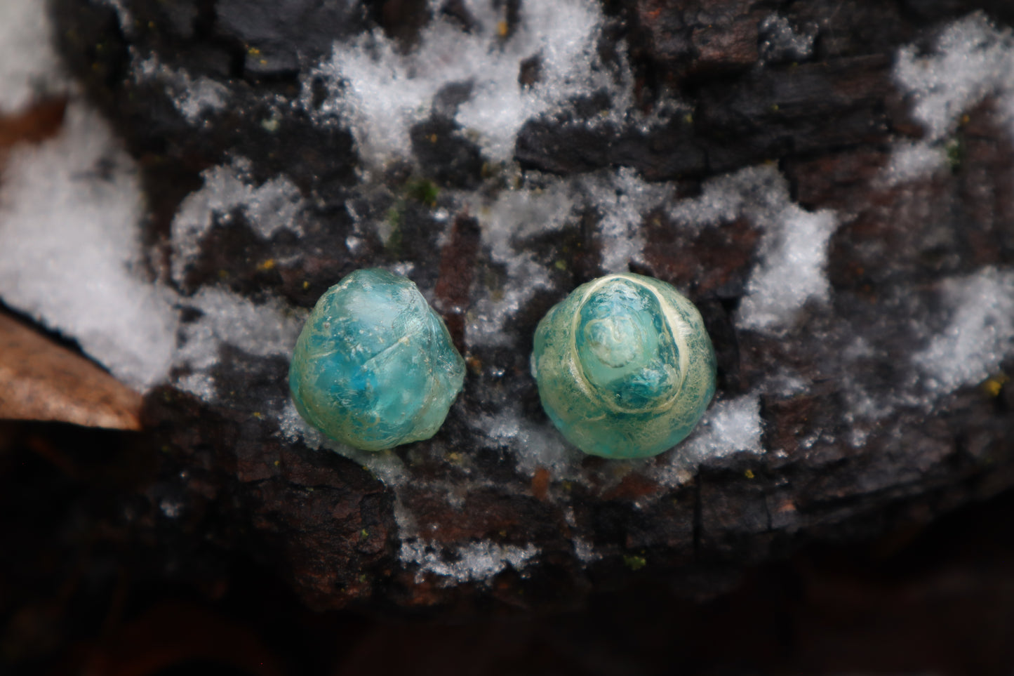 Crystal Coyote Eyes