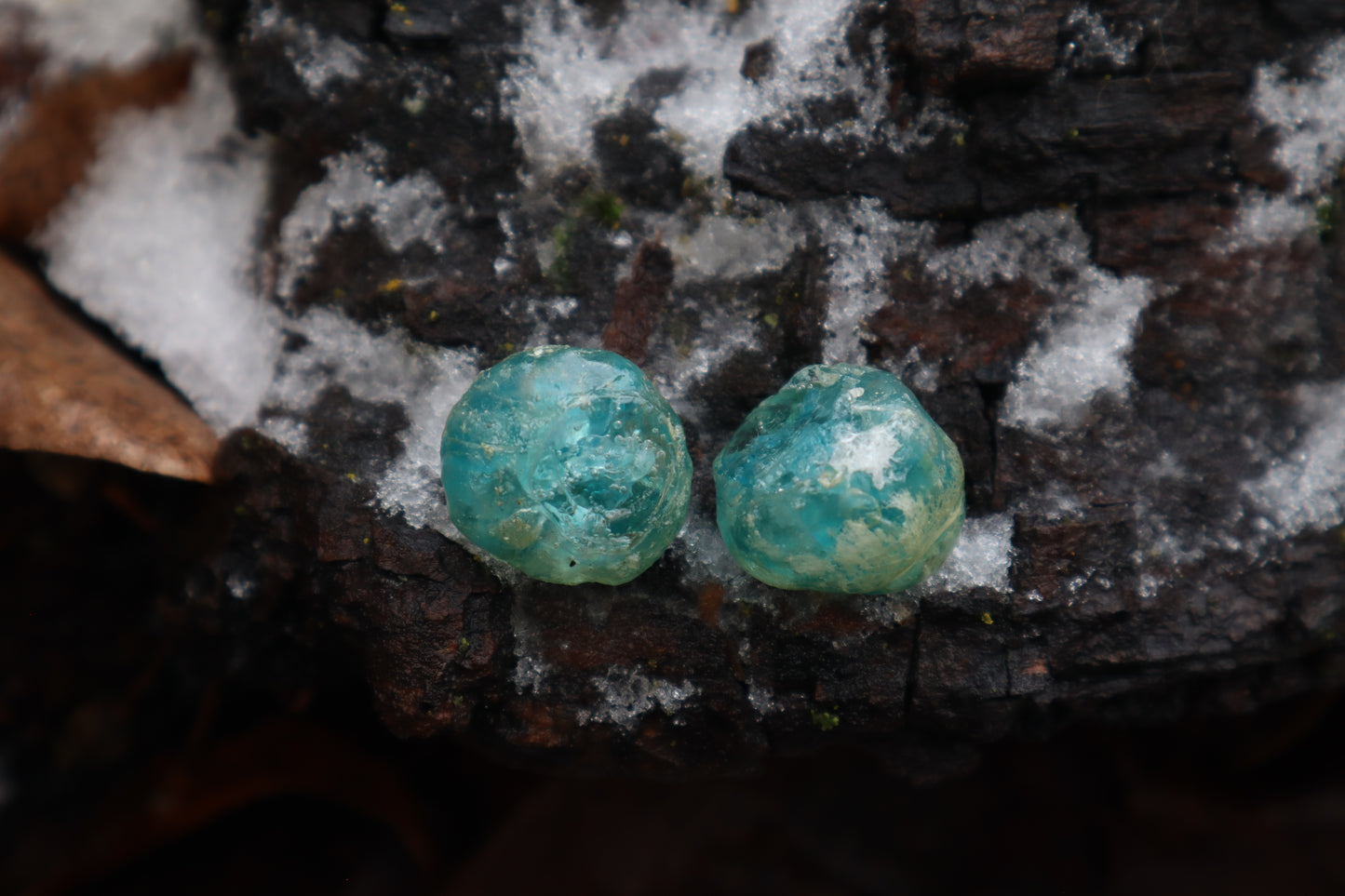 Crystal Coyote Eyes