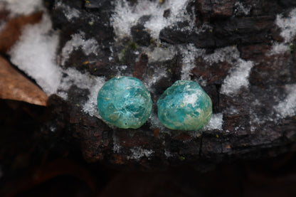 Crystal Coyote Eyes