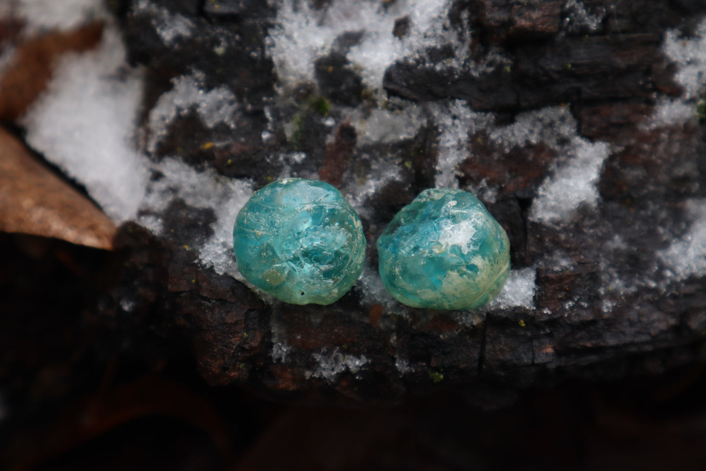Crystal Coyote Eyes