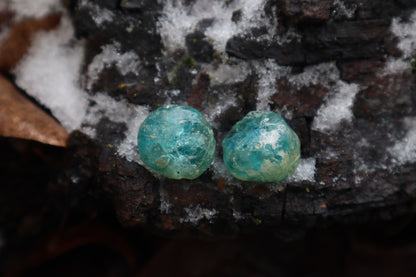 Crystal Coyote Eyes