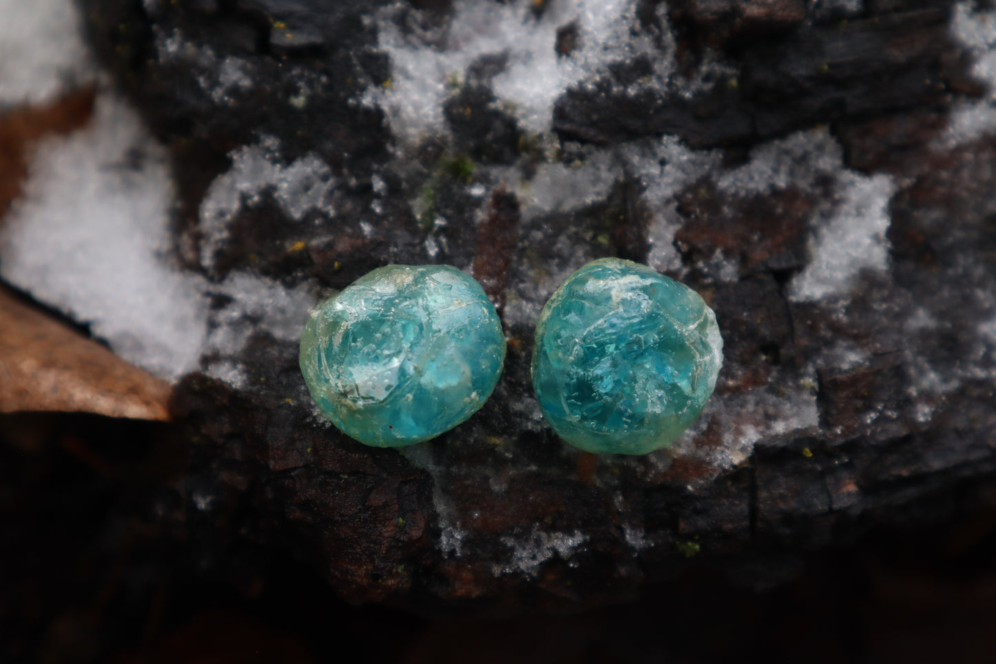 Crystal Coyote Eyes