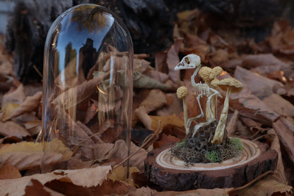 Articulated Chick Skeleton in Glass Dome