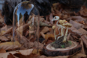 Articulated Chick Skeleton in Glass Dome