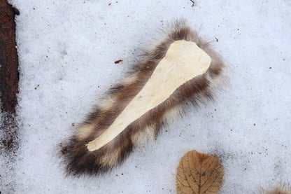Raccoon Tail