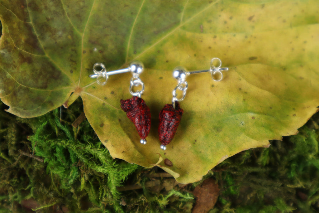 Parakeet Heart Earrings - .925 Silver