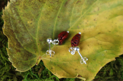 Parakeet Heart Earrings - .925 Silver