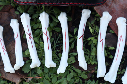 Mountain Lion Bone Younger Futhark Rune Set with Leather Case