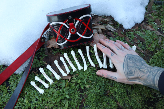Mountain Lion Bone Younger Futhark Rune Set with Leather Case
