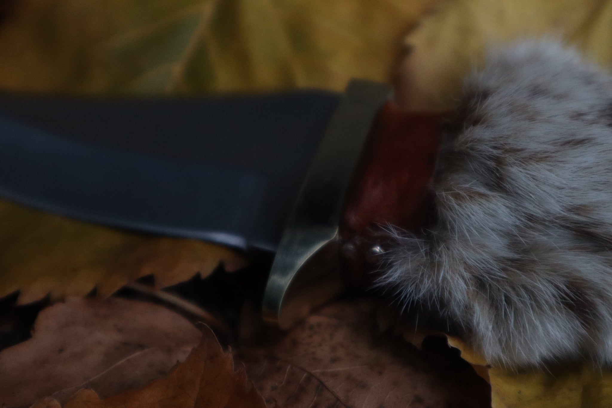 Bobcat Paw Knife