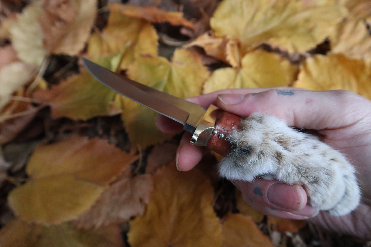 Bobcat Paw Knife