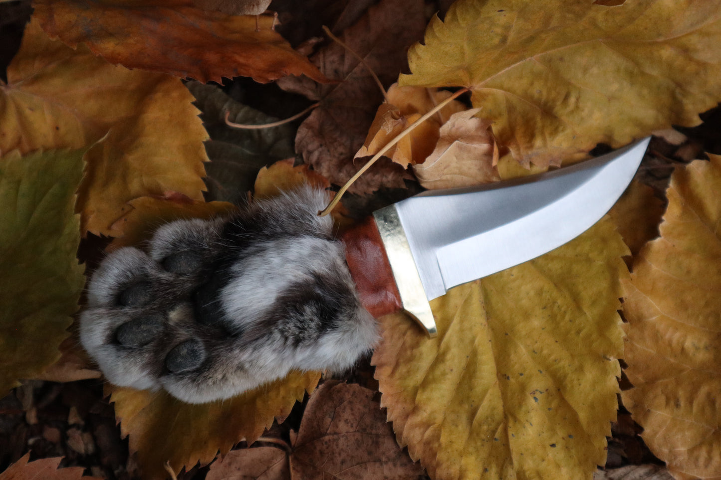 Bobcat Paw Knife