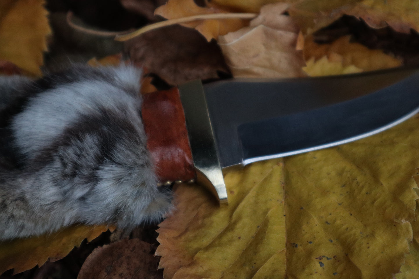 Bobcat Paw Knife