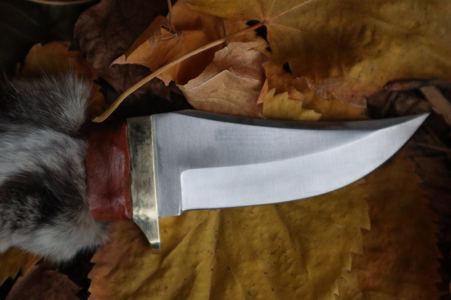 Bobcat Paw Knife
