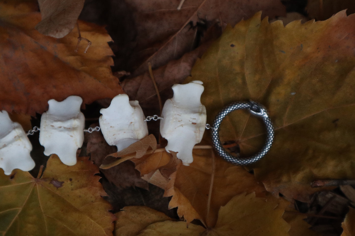 Fluid Beaver Tail Articulation with Ouroboros Ring