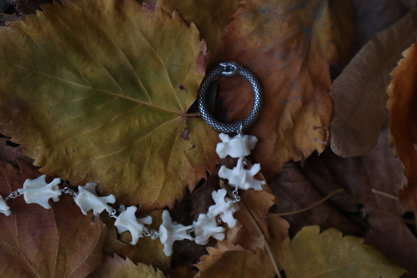 Fluid Raccoon Tail Articulation with Ouroboros Ring