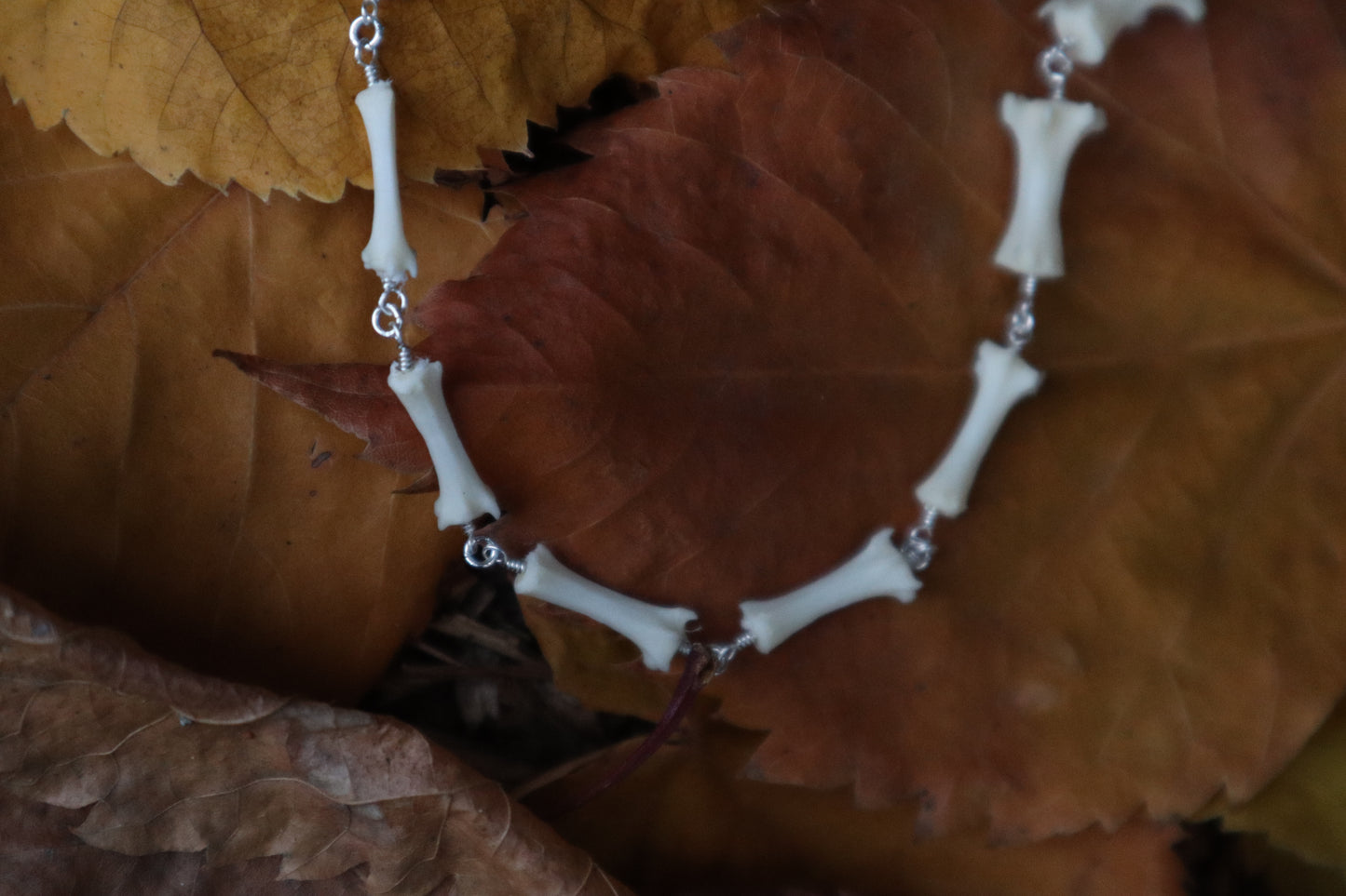 Fluid Raccoon Tail Articulation with Ouroboros Ring