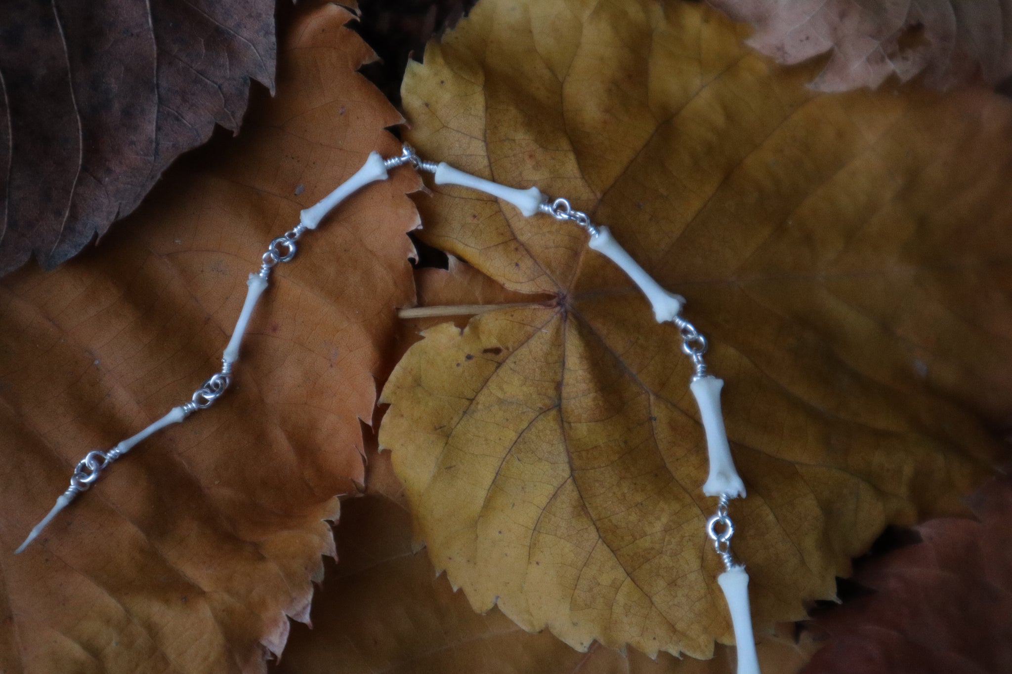 Fluid Raccoon Tail Articulation with Ouroboros Ring