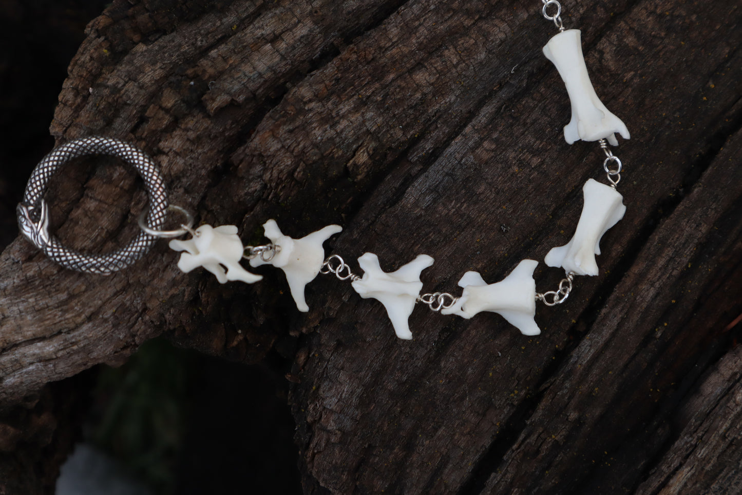 Fluid Red Fox Tail Articulation with Ouroboros Ring