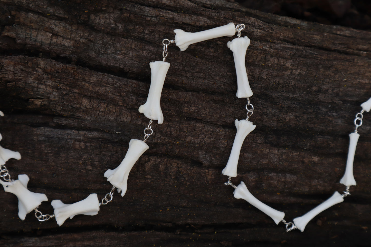 Fluid Red Fox Tail Articulation with Ouroboros Ring
