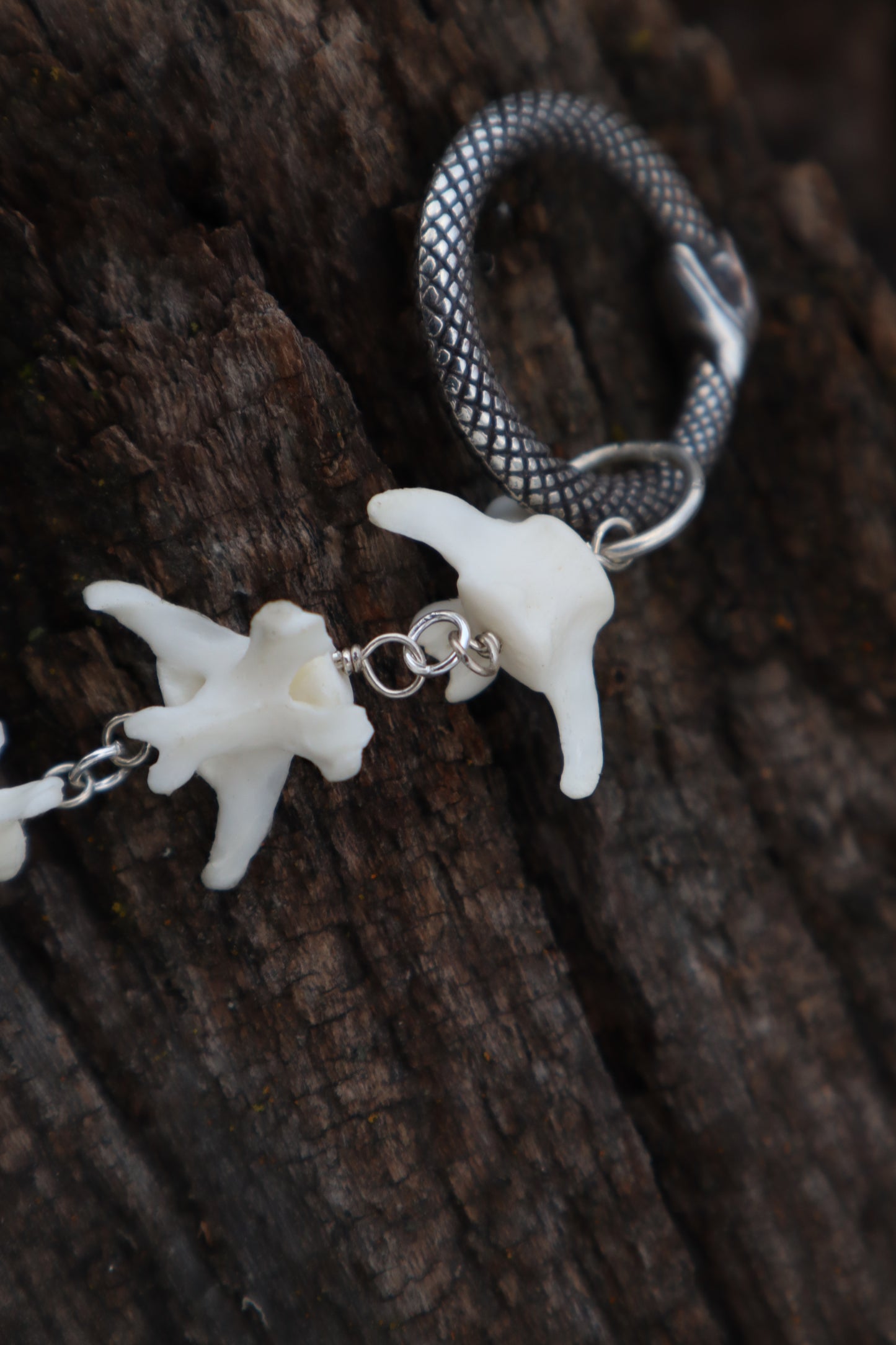 Fluid Red Fox Tail Articulation with Ouroboros Ring