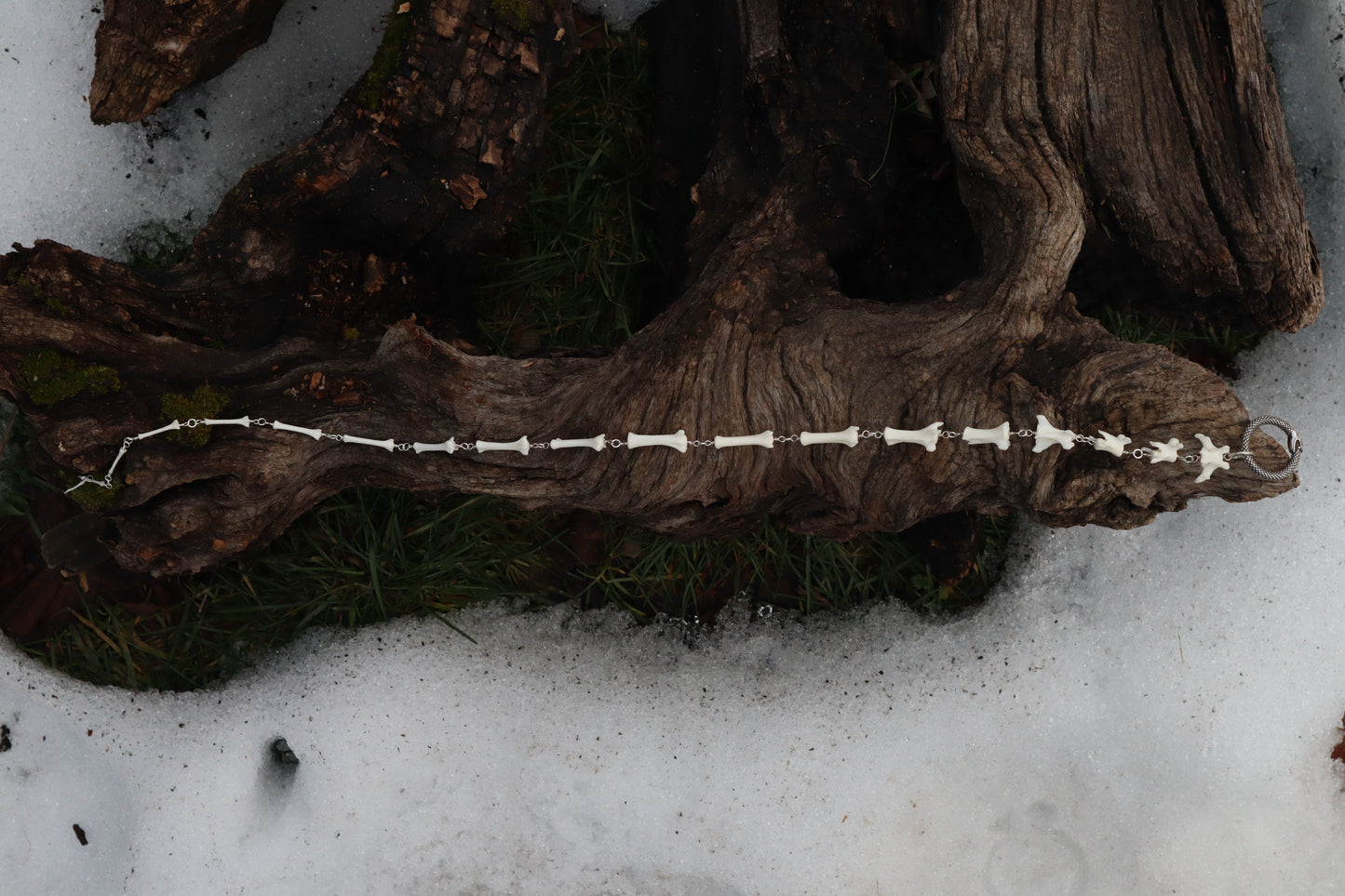 Fluid Red Fox Tail Articulation with Ouroboros Ring
