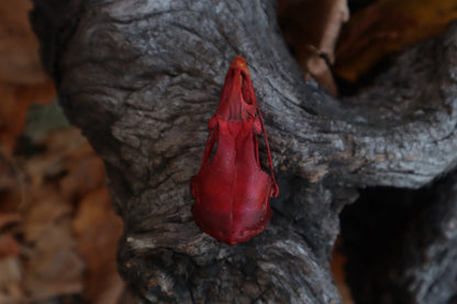 Naturally Stained Chicken Skull