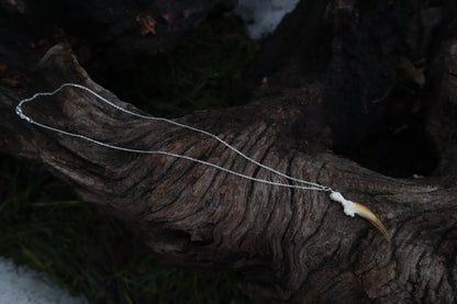 Porcupine Claw Necklace- .925 Silver