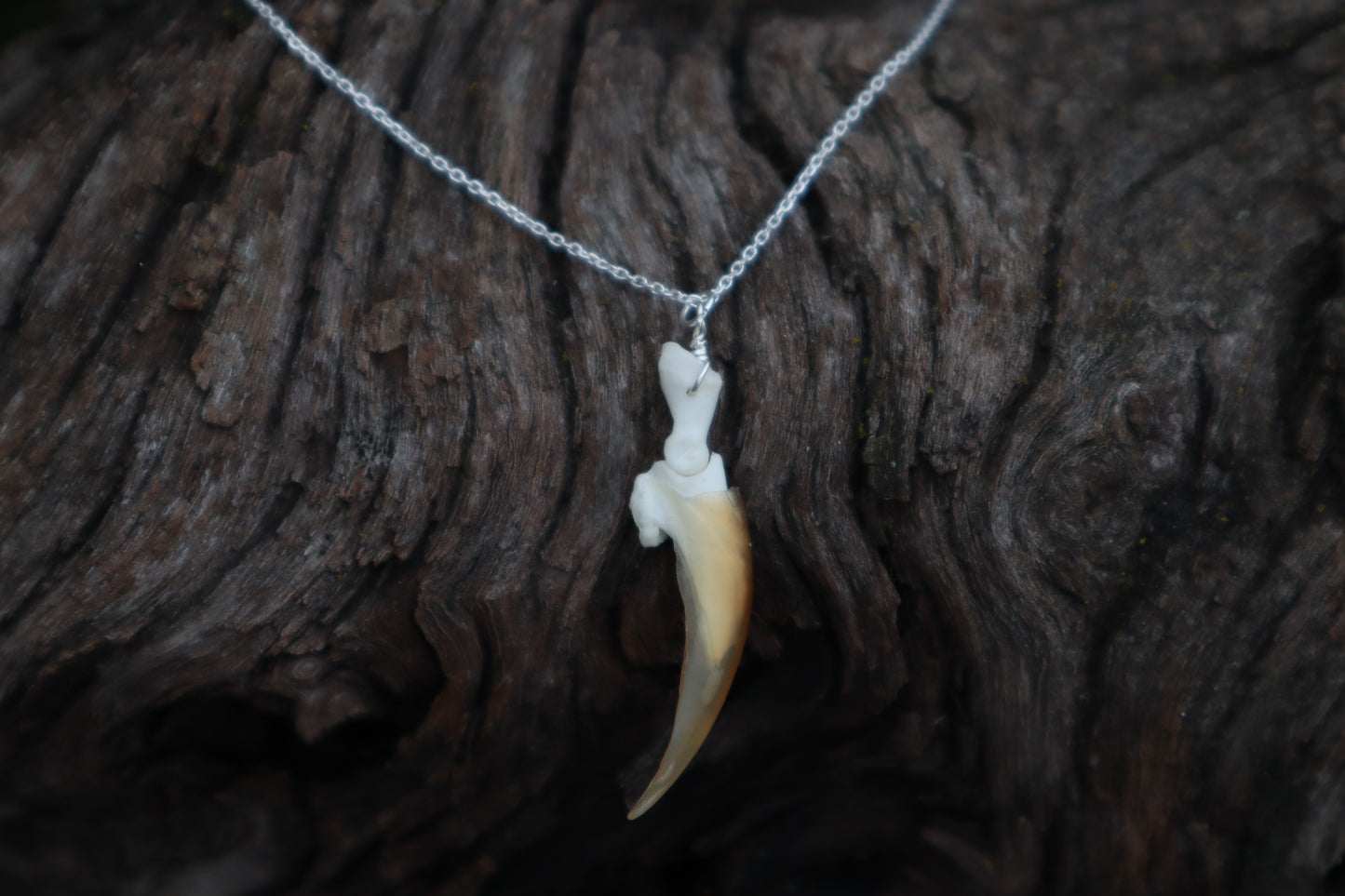 Porcupine Claw Necklace- .925 Silver