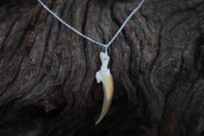 Porcupine Claw Necklace- .925 Silver