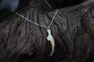 Porcupine Claw Necklace- .925 Silver