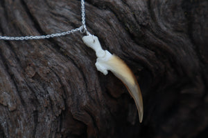 Porcupine Claw Necklace- .925 Silver
