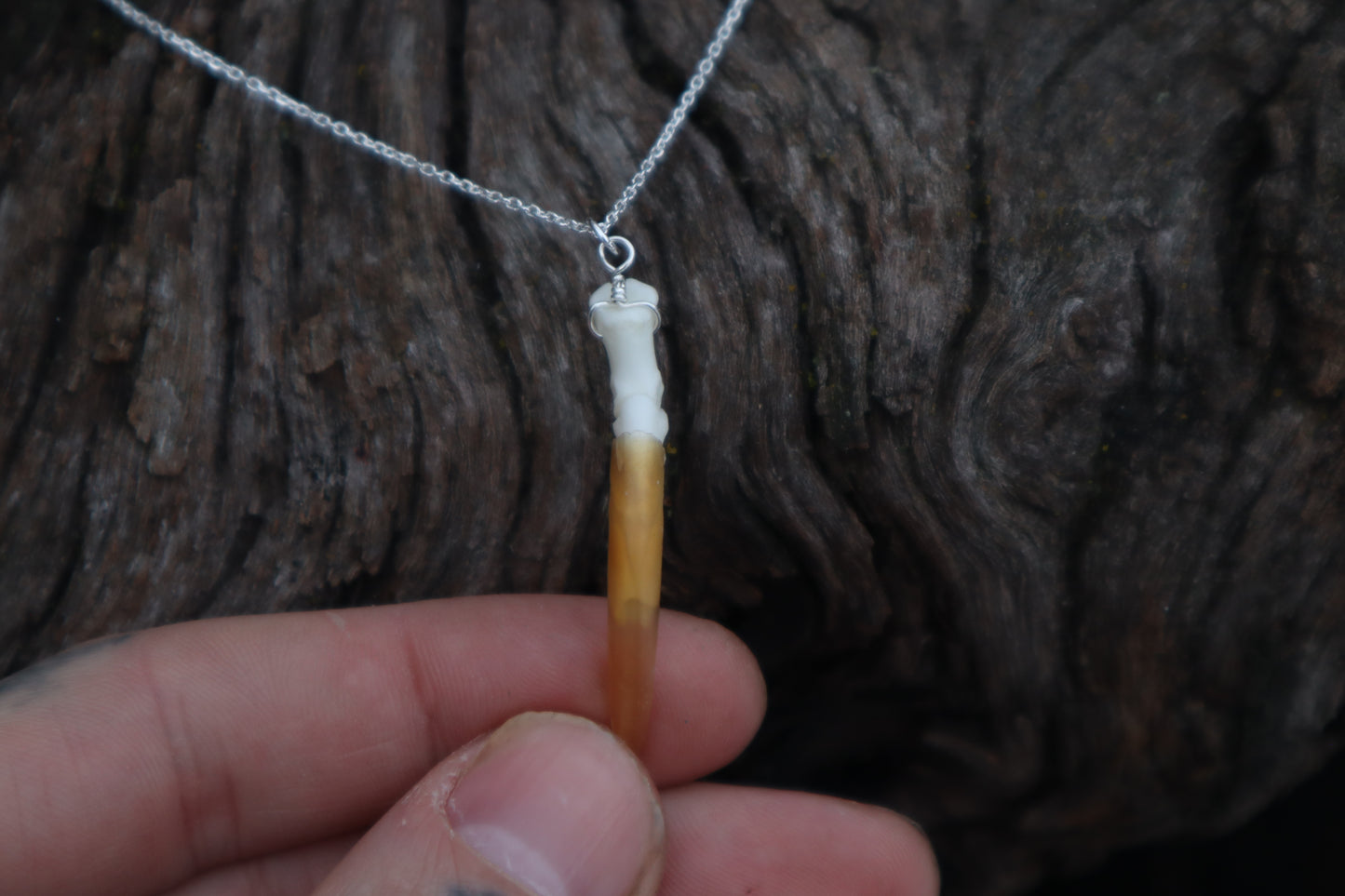 Porcupine Claw Necklace- .925 Silver