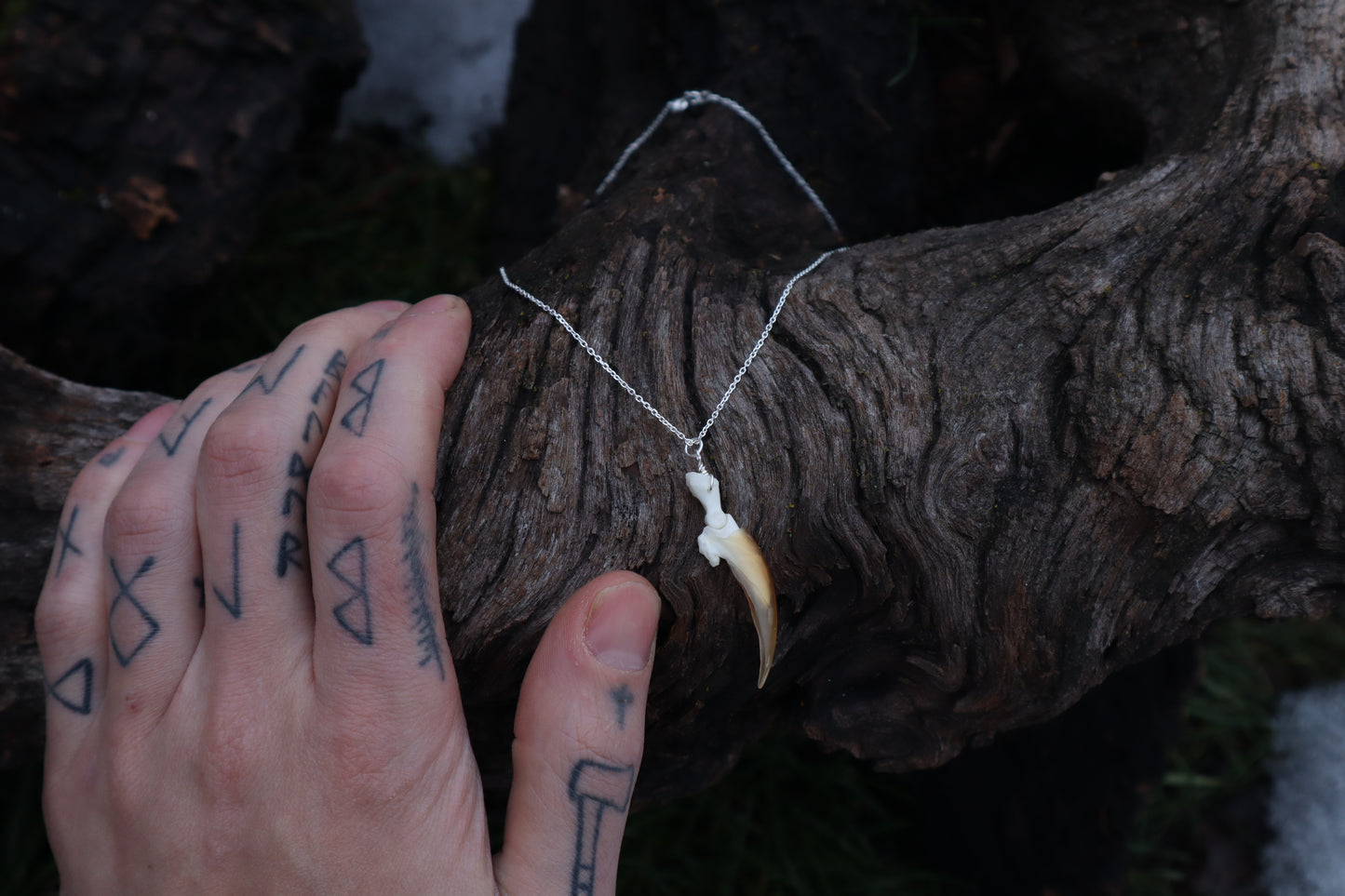 Porcupine Claw Necklace- .925 Silver