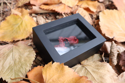 Dry Preserved Red Fox Kidneys