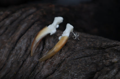 Porcupine Claw Stud Earrings - .925 Silver