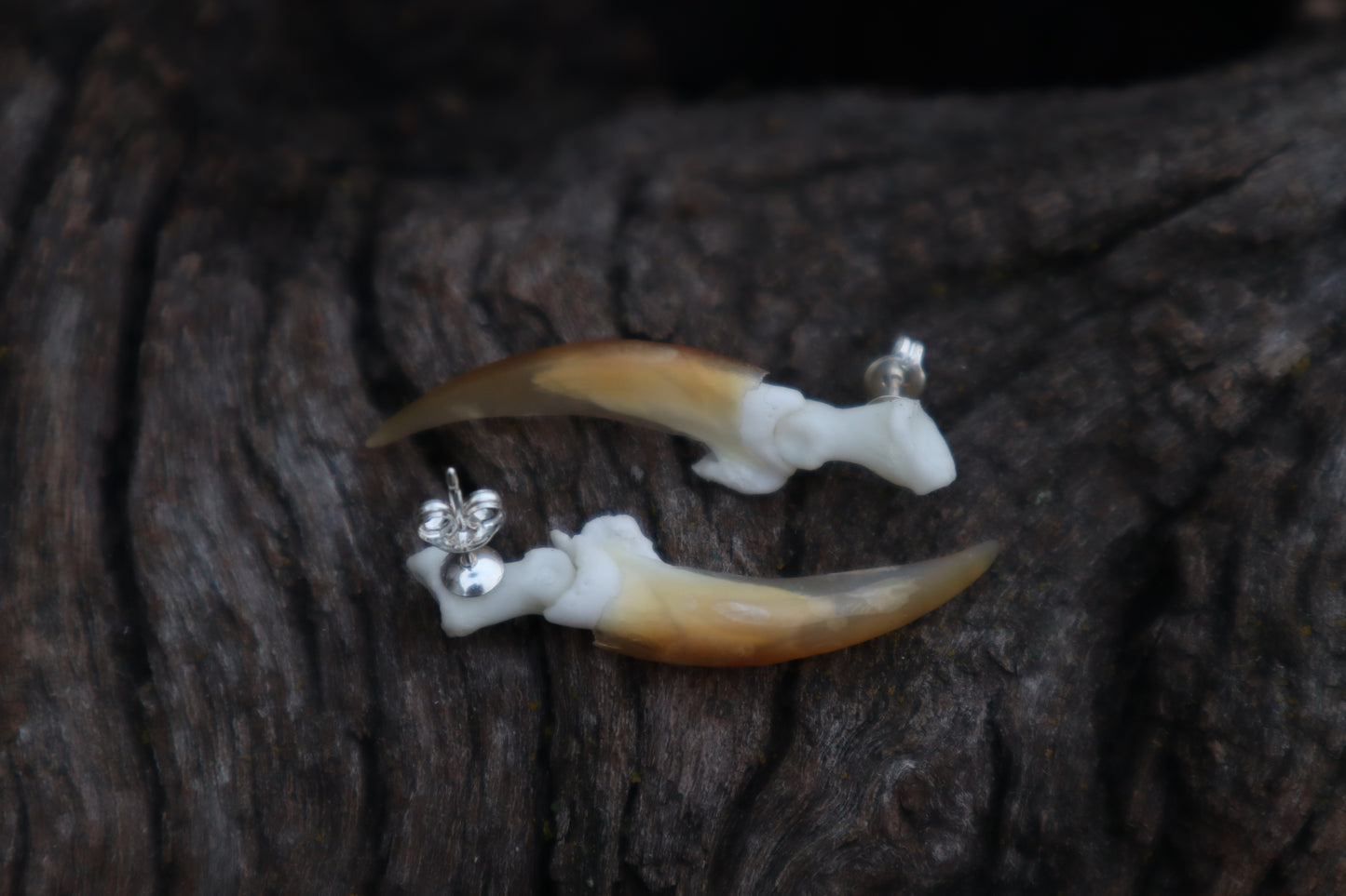 Porcupine Claw Stud Earrings - .925 Silver
