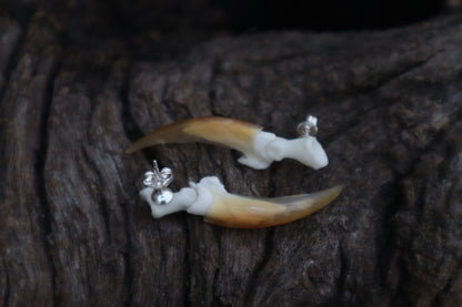 Porcupine Claw Stud Earrings - .925 Silver