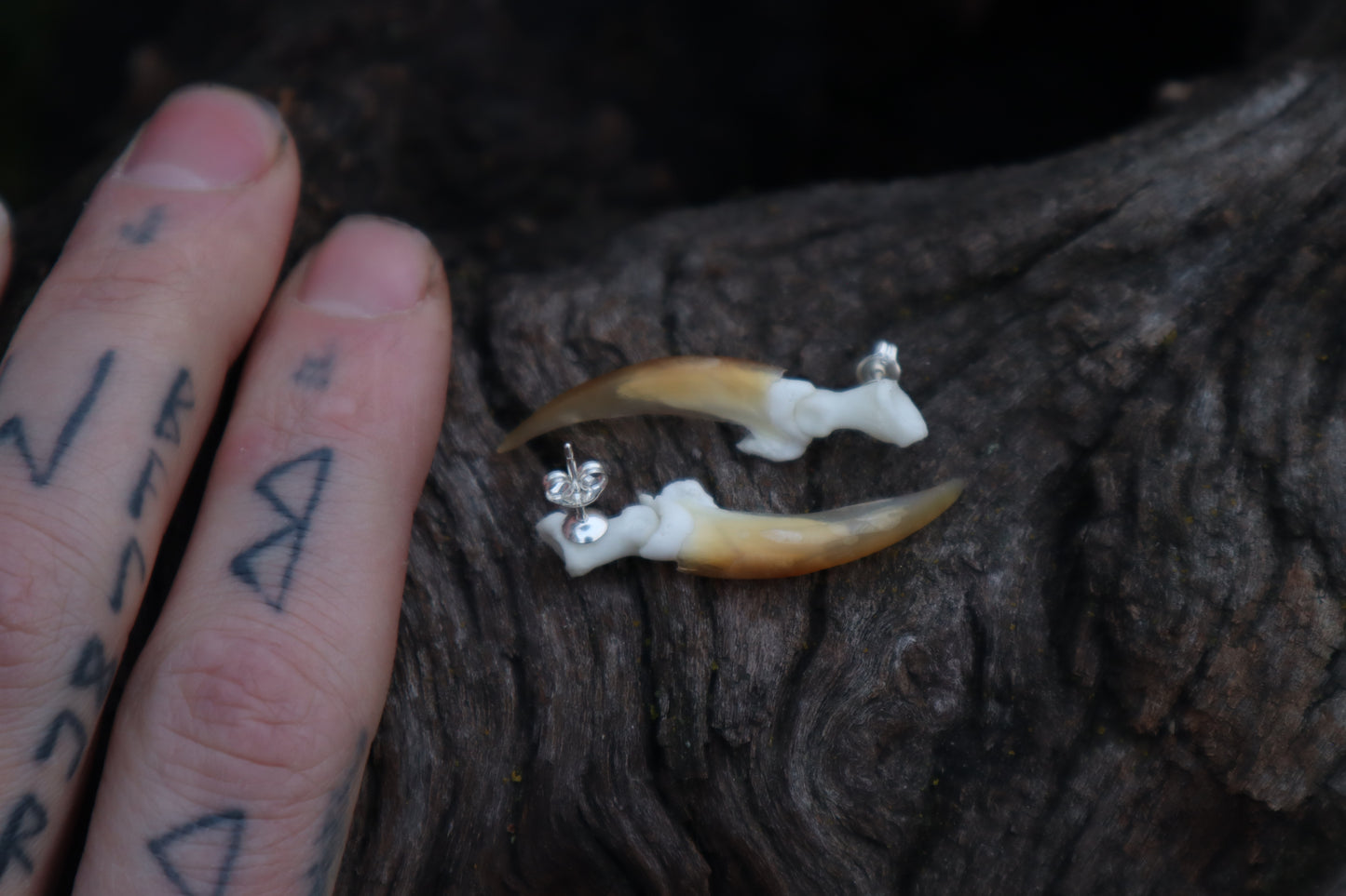 Porcupine Claw Stud Earrings - .925 Silver
