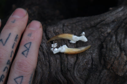 Porcupine Claw Stud Earrings - .925 Silver