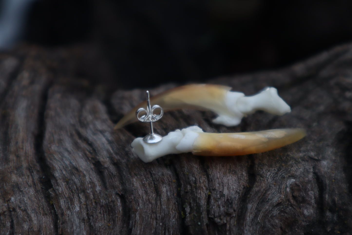 Porcupine Claw Stud Earrings - .925 Silver