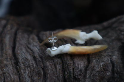 Porcupine Claw Stud Earrings - .925 Silver
